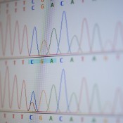 MARK53 Analyse