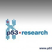 p53research
